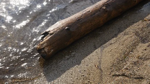 Side view- lake water waves moving toward a log 4k. Stock Footage 96559532