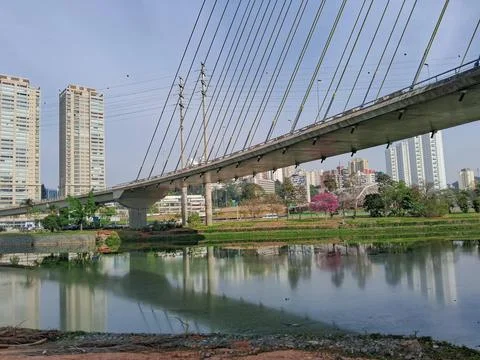 Side view of a large cable-stayed bridge. Stock Photos