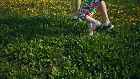 Side view of legs of child and young woman walking on yellow dandelions. Stock Footage 107902068