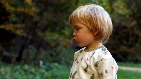 Side view of little blonde boy looking at scenic fireplace in beautiful green fo 스톡 동영상 120171055