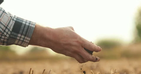 Side view: male hands touching soil on field. Stock Footage 263100311