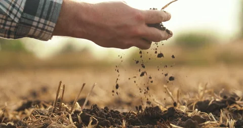 Side view: male hands touching soil on field. Stock Footage 263100360