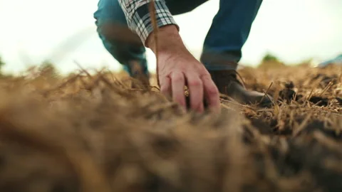 Side view: male hands touching soil on field. Stock Footage 263100421