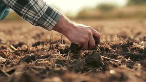 Side view: male hands touching soil on field. Stock Footage 263100573