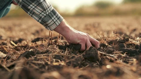 Side view: male hands touching soil on field. Stock Footage 263100593
