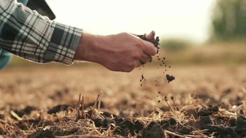 Side view: male hands touching soil on field. Stock Footage 263100647