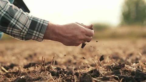 Side view: male hands touching soil on field. Stock Footage 263100683