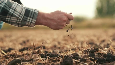 Side view: male hands touching soil on field. Stock Footage 263100722