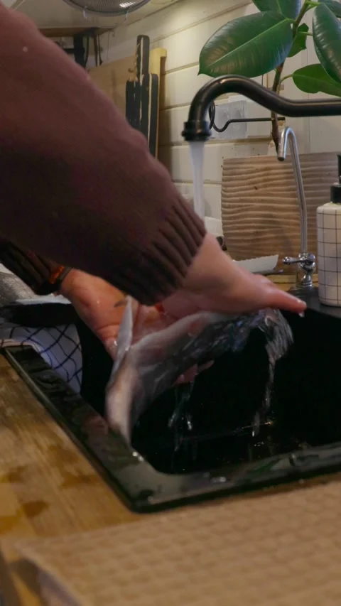 Side view of man cleaning and preparing fresh fish in black kitchen sink. Home s Stock Footage 329581205