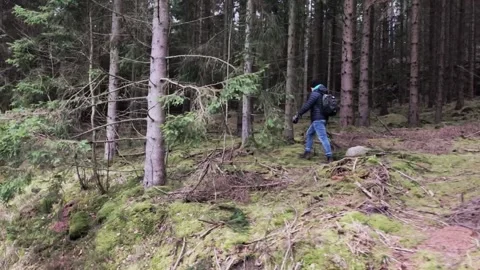 Side view of a man hiking alone in the woods. Stock Footage 146805745