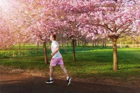 Side view of a man jogging through a park under a canopy of blooming pink c.. Stock Photos