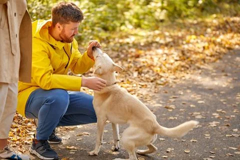 Side view on man playing with his pet dog Stock Photos