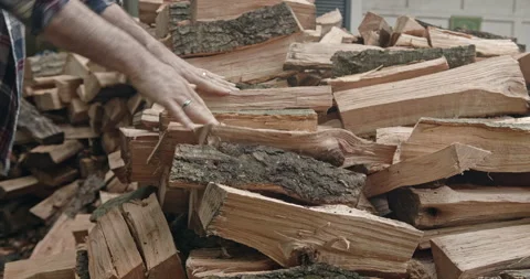 Side view man stacking woodpile. Oak firewood - with audio Stock Footage 139989859