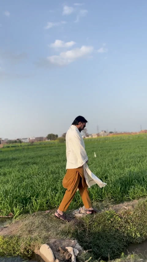 Side View Of Man Walking Along Green Field Vídeo Stock 334153768