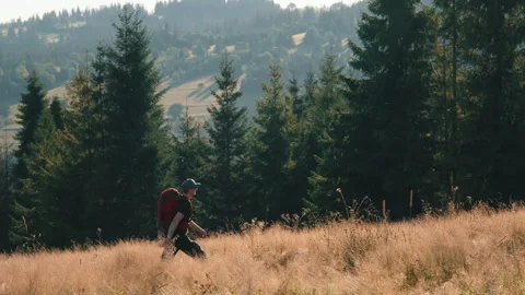 Side view man walking meadow hill overlooking mountains lit with sunrise light Stock Footage 282447561