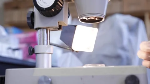 Side view of microscope with sample for laboratory inspection. Stock Footage 345172620