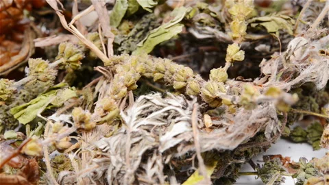 Side view mixed Chinese herb medicine rotating and pause Stock Footage 108703160