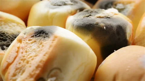 Side view moldy buns rotating Stock Footage 101450785