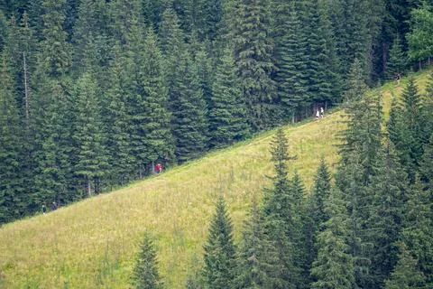 Side view of the mountain slope where small, unrecognizable people can be s.. Stock Photos