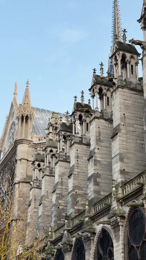 Side View of Notre Dame Cathedral Spires and Facade Against Clear Blue Sky in Stock Footage 342052275
