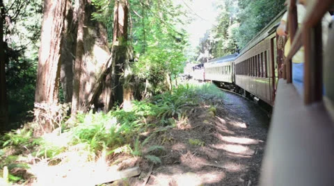 Side view of an old fashioned train, handheld Stock Footage 25392831
