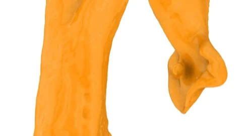 Side view of orange color flowing in circular motion, on white (FULL HD) Stock Footage 72532927