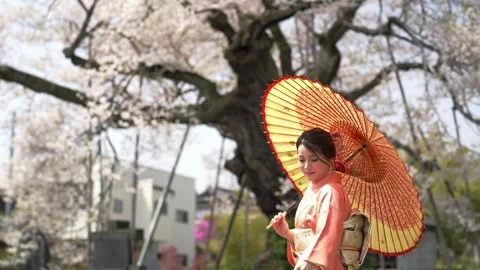 Side view of an orange kimono and parasol under blossoms Stock Footage 344794110