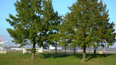 Side view of passenger airplane Airbus A380-841 taking off Stock Footage 169702726