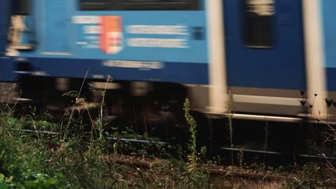 Side view of a passenger train moving past tall grass and plants near the Stock Footage 325808217