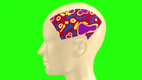 Side view of a person with moving thoughts inside the head, visualizing Stock Footage 340639835