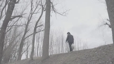 Side view of a person walking along a ridge in a wooded area. Stock-Footage 327595335
