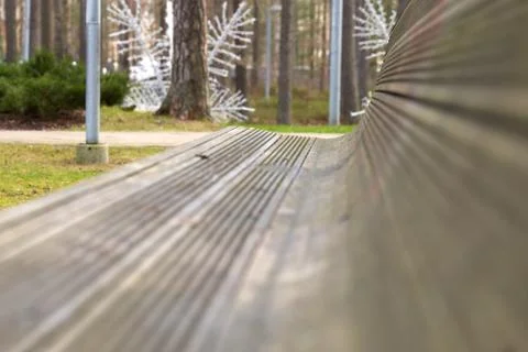 Side view perspective of a bench in a forest Stock Photos