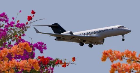 Side view of a private jet flying Foto stock