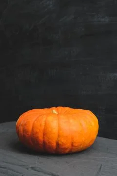 Side view of a pumpkin Stock Photos