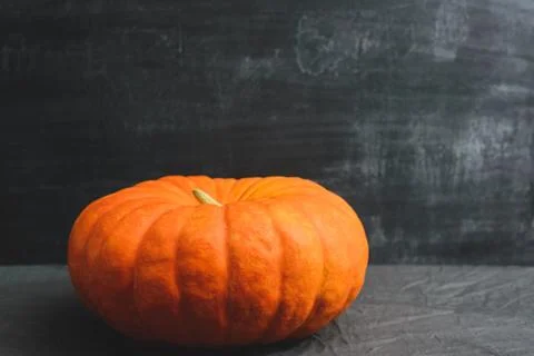 Side view of a pumpkin Stock Photos
