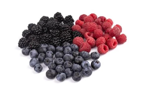 Side view on raw group of blue, black and red colorful organic berries Stock Photos