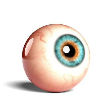 Side view of realistic human eyeball isolated on wihte background, 3D rendering Stock Illustration