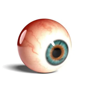 Side view of realistic human eyeball isolated on wihte background, 3D rendering Stock Illustration