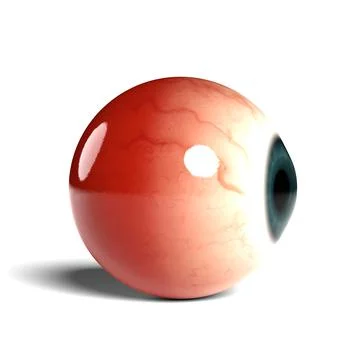 Side view of realistic human eyeball isolated on wihte background, 3D rendering Stock Illustration