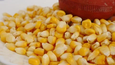 Side view of red mud glass placed over corn seeds Video stock 148217524