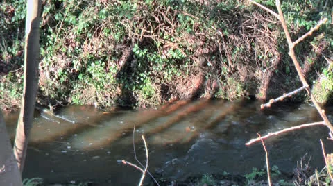 Side View Of River Flowing Right Stock Footage 22489945