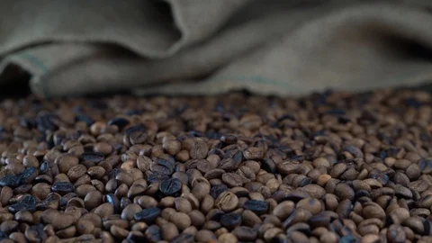 Side view of roasted coffee beans slow motion Video stock 116291480