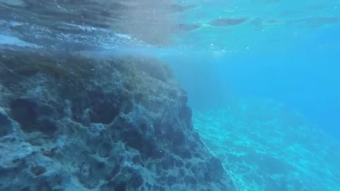 Side view of a rock underwater. Blue clear water. waves cover a stone, underw Video stock 121157683