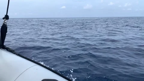 Side View Of Rubber Boat Stock Footage 253432379