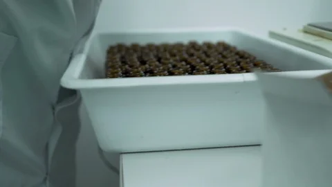 Side view of Scientist opening dropper bottles, moving their caps and arranging Stock Footage 116611719