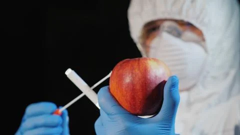 Side view of The scientist shoots a sample in the big apple. Food quality study Stock Photos