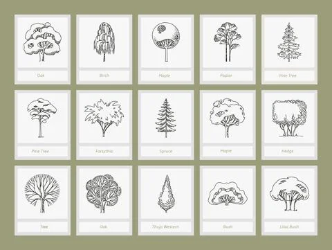Side view, set of graphics trees elements outline symbol for architecture and Stock Illustration