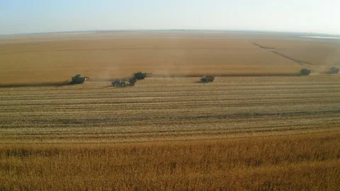 Side view of several combine tractors harvesting corn field in Lodi California Stockbeeldmateriaal 204479631