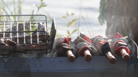 Side view of the shish kebab and vegetable grilling process Stock Footage 278420278