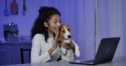 Side view shot of a young, happy Asian woman video call with cute beagle dog. Stock Footage 148737377
